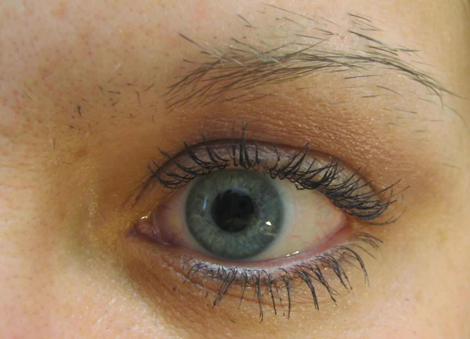 fifi-says-bad-eyebrow