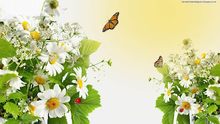 Beautiful Flowers Butterfly HD 2013 Wallpapers For Android And Desktop