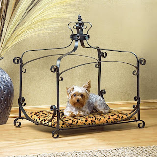 Check out our Pet Bed Collection on KIT.