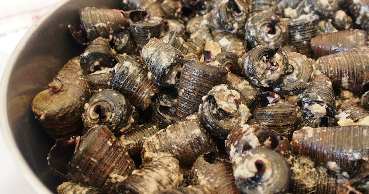 Shooting Churches, Eating Noodles (Year XVII) OF SNAILS AND BEER