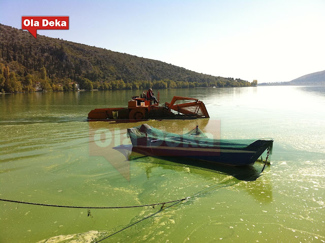 Με πολυμηχάνημα διαχείρισης των οικοτόπων ενισχύεται η λίμνη της Καστοριάς.