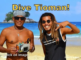 Dive Tioman - Click on Image for Details: