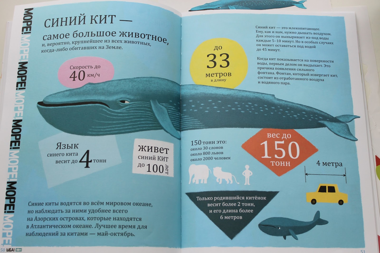 Сколько голубая. Язык синего кита. Синий кит Размеры. Язык кита весит. Синий кит сравнение вес.