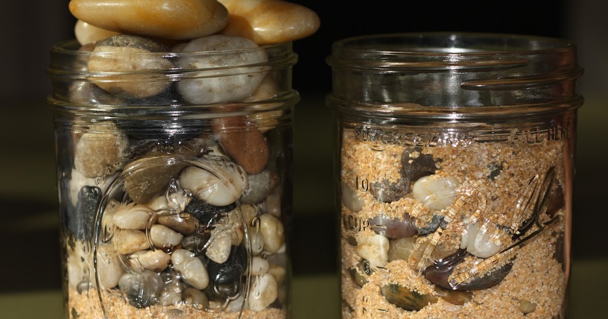 Шар на девичник. Сколько стоят пеналы из цифрового цирка?. Пенал формат а4. Отдельный наполнить. Баночка с камушками.