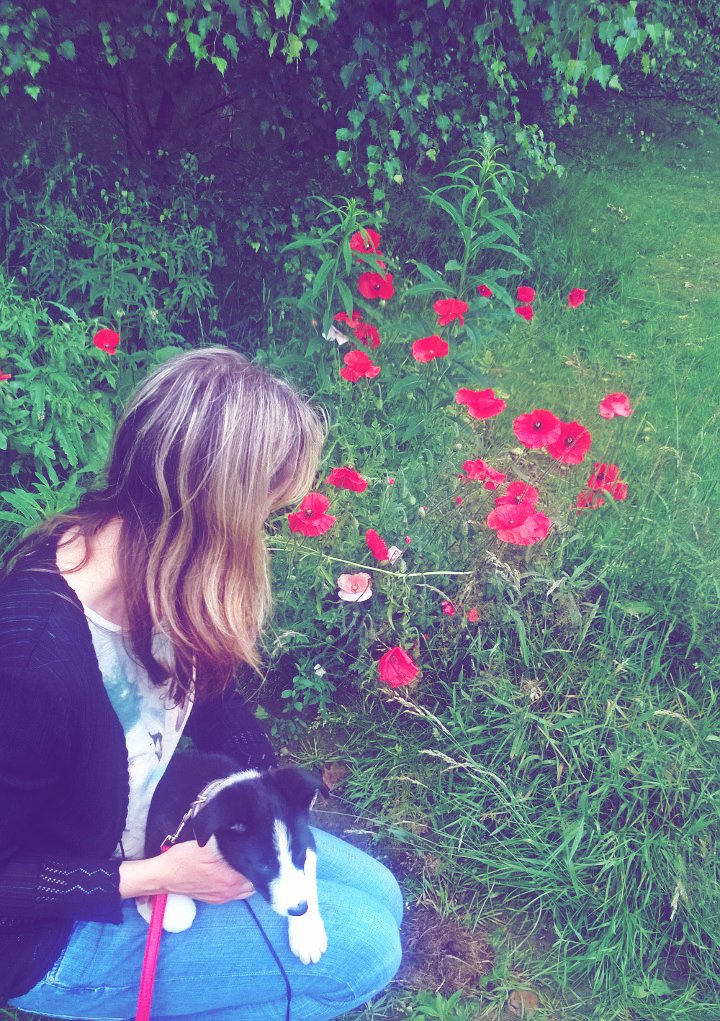 Puppies And Poppies: Such A Beautiful Combination 