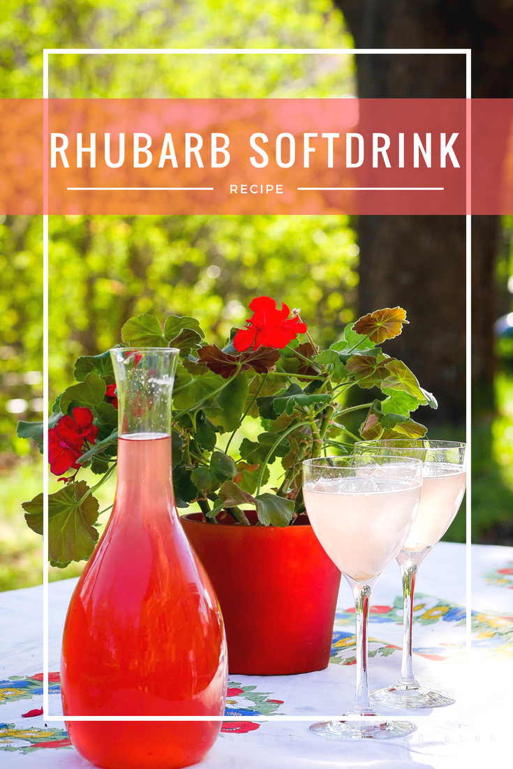 Rhubarb Soft Drink Recipe Nature Whisper