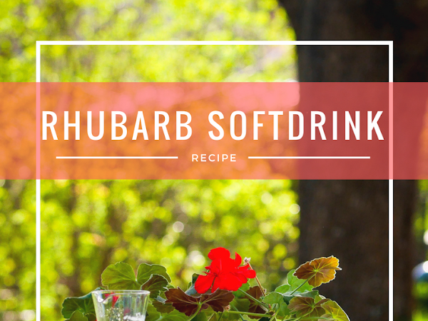 Rhubarb Soft Drink Recipe