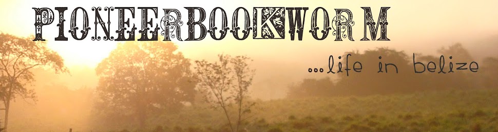 Pioneer Bookworm, life in Belize
