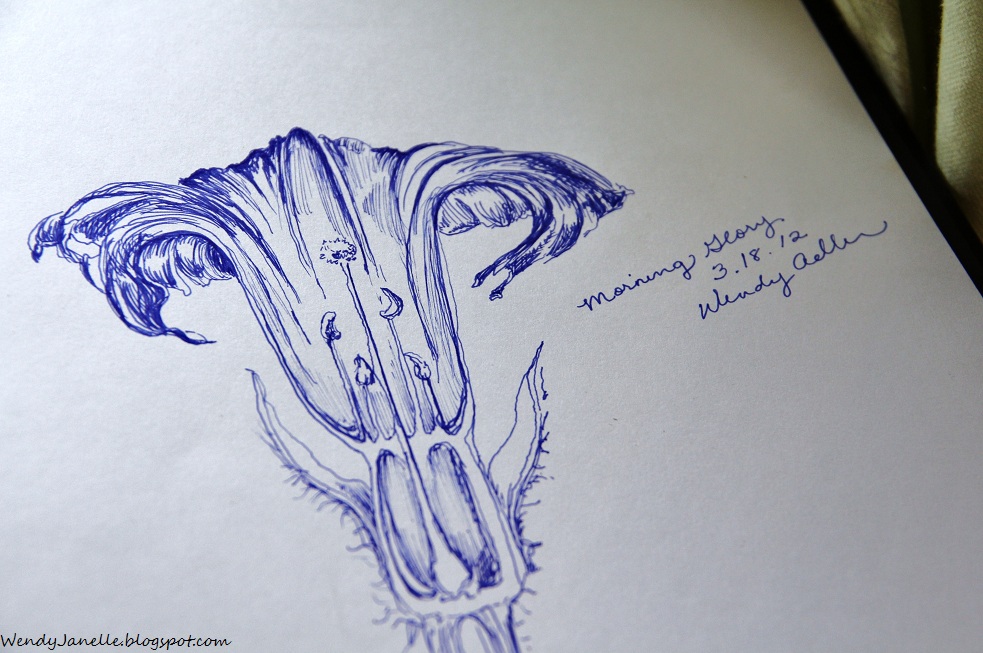 Living Creatively 10 Ways to Vary Your Nature Journal Layouts