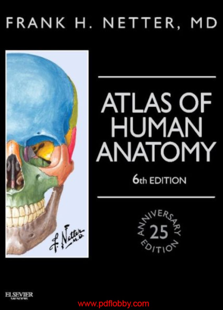 human anatomy atlas 7.4.01 human anatomy atlas 7.4.01