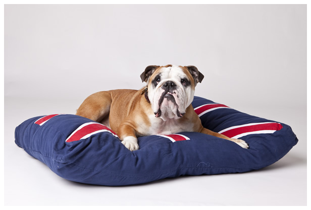 New Products - Dog Beds