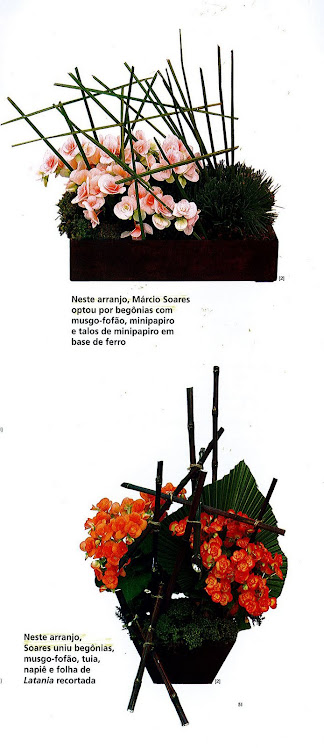 Ikebanas para Revista Editora Casa Dois
