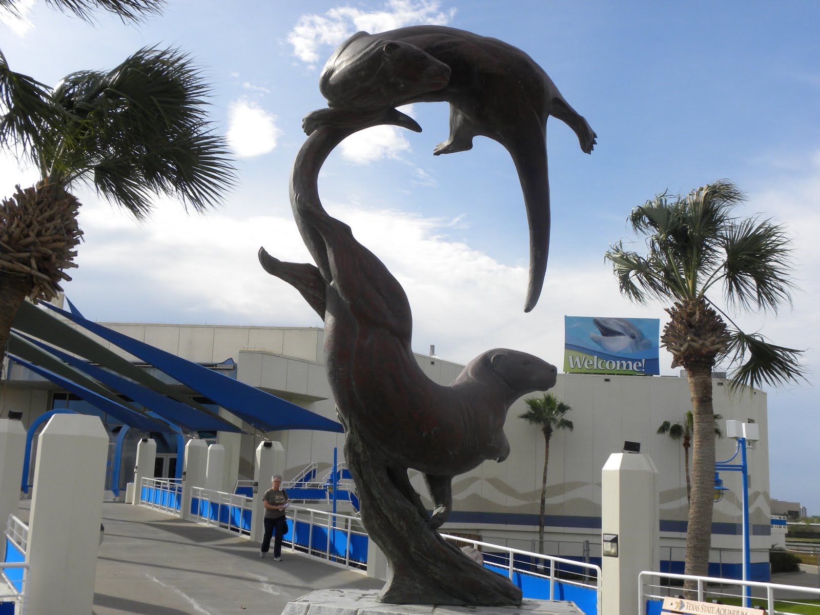 Looking Out the Rear Window Texas State Aquarium