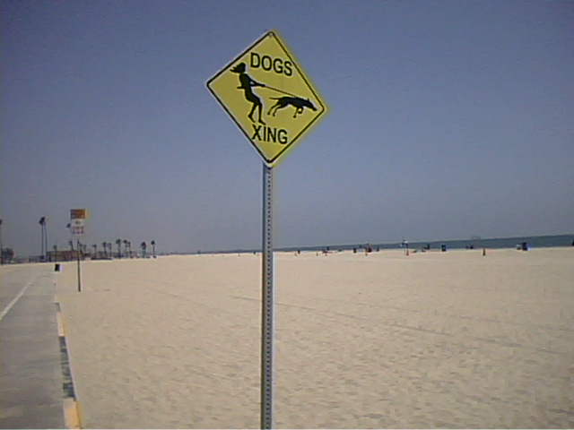 Homeless in Long Beach: Dog crossing sign