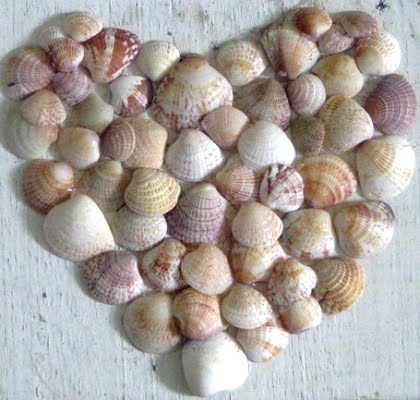shell hearts