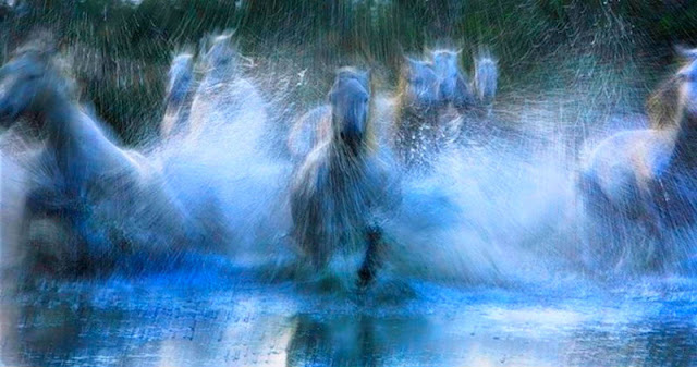 Sedekahkan 100 Kuda Perang Setiap Hari, Hanya dengan 3 Menit Melakukan Hal Ini! Sedekahkan 100 Kuda Perang Setiap Hari, Hanya dengan 3 Menit Melakukan Hal Ini!