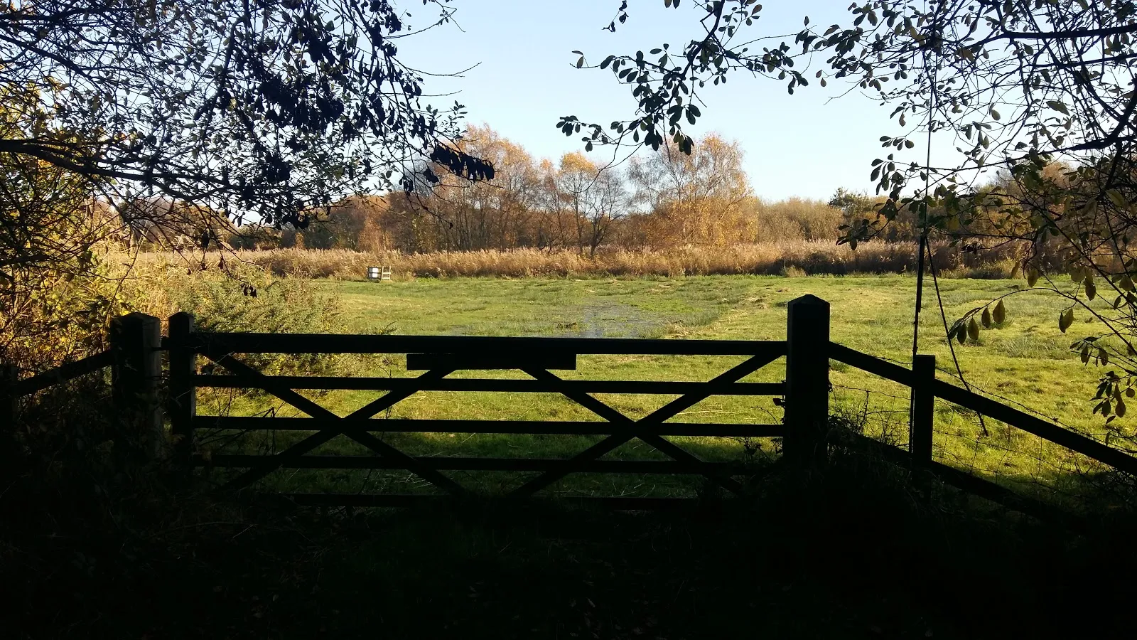 Views across the marsh to minsmere, an area that will be covered with spoil heaps from the construction of Sizewell C