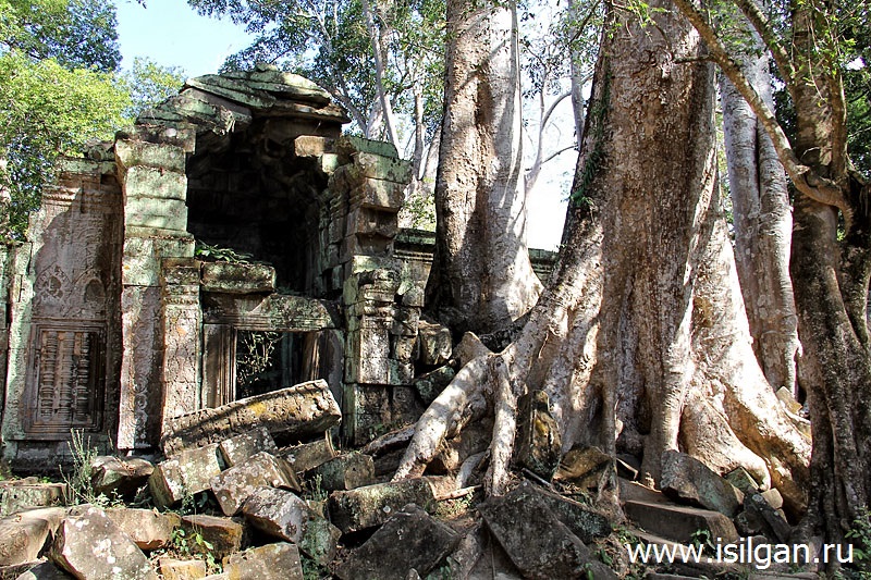 Храм Ta Prohm (Та Пром) или храм Анджелины Джоли. Камбоджа