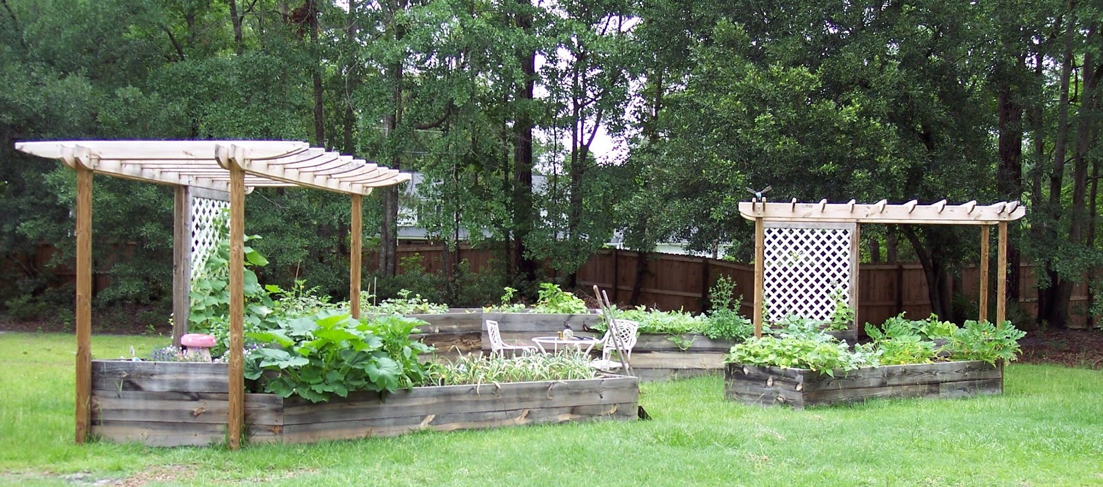 Filling Raised Beds on a Budget