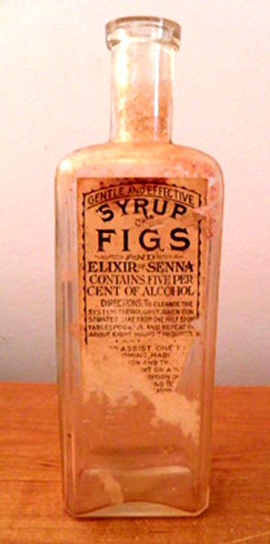 MemoriesandMiscellany: A Fig for Your Health!