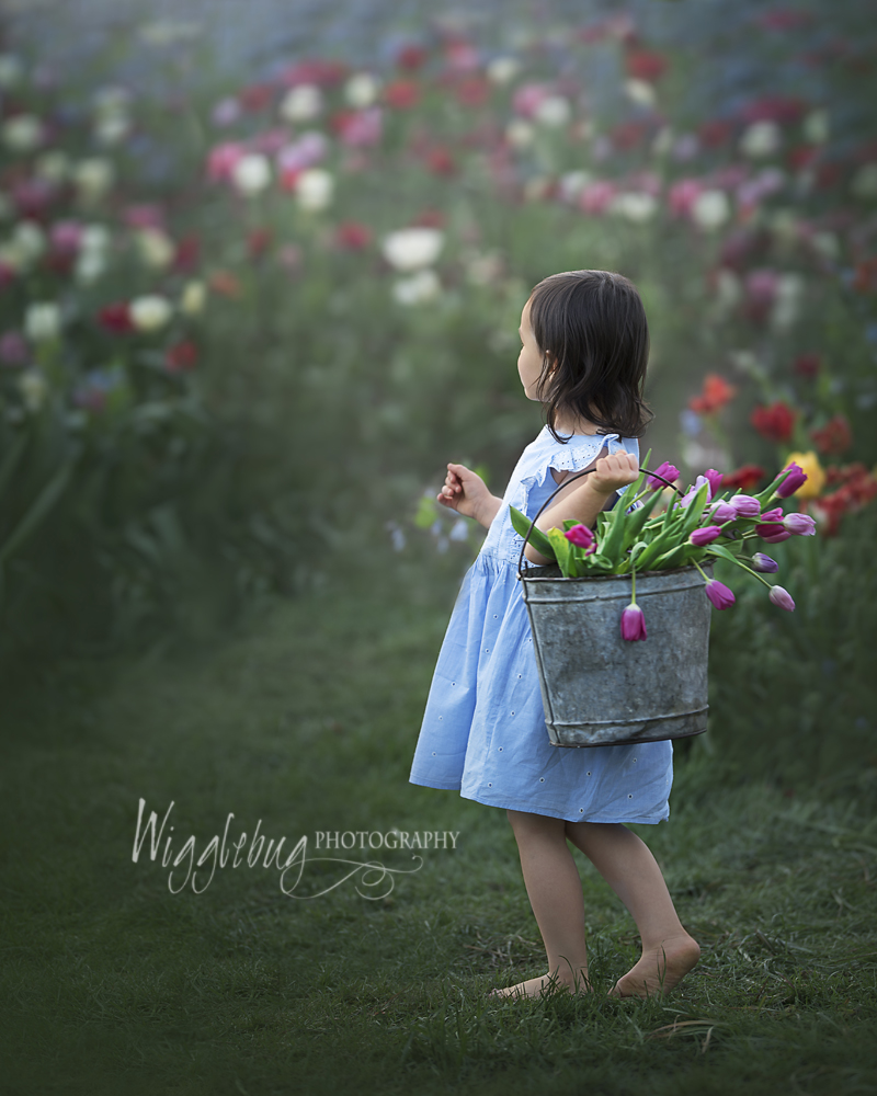 Amazing Tulip Session at Flowers on Fargo in Geneva, IL DeKalb, IL