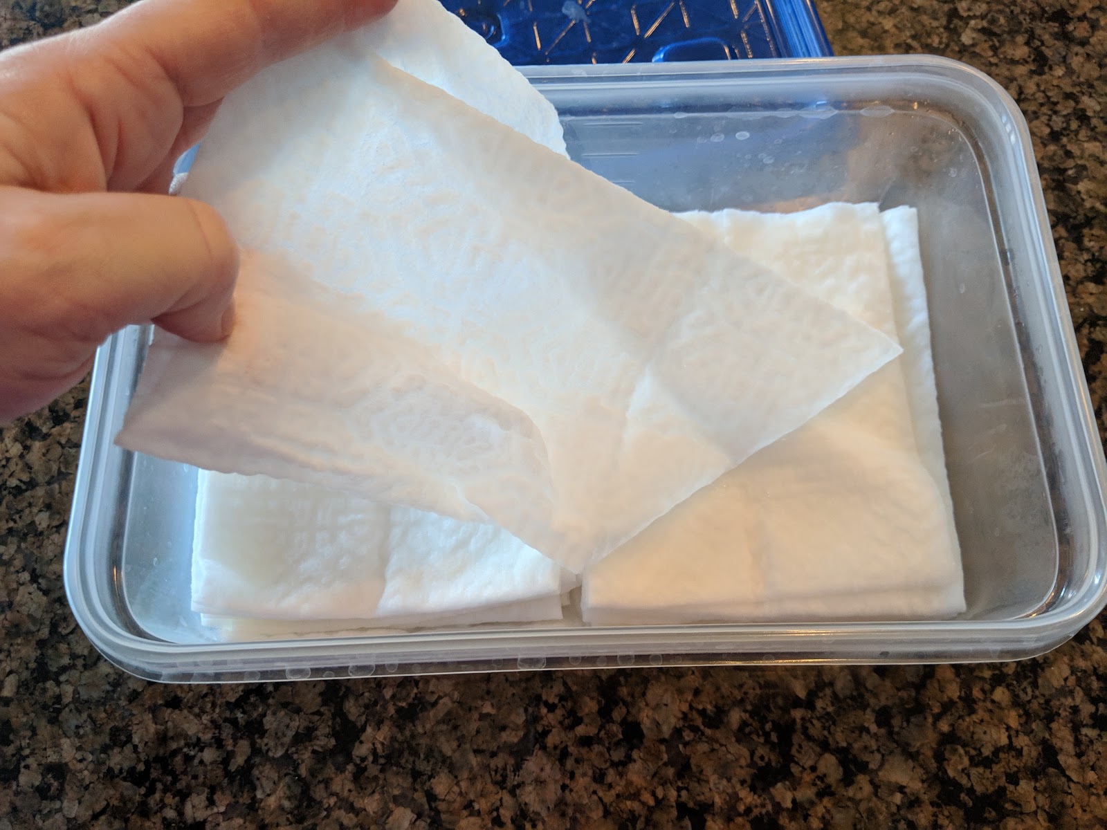 DIY Wet Mop Pads with Thieves