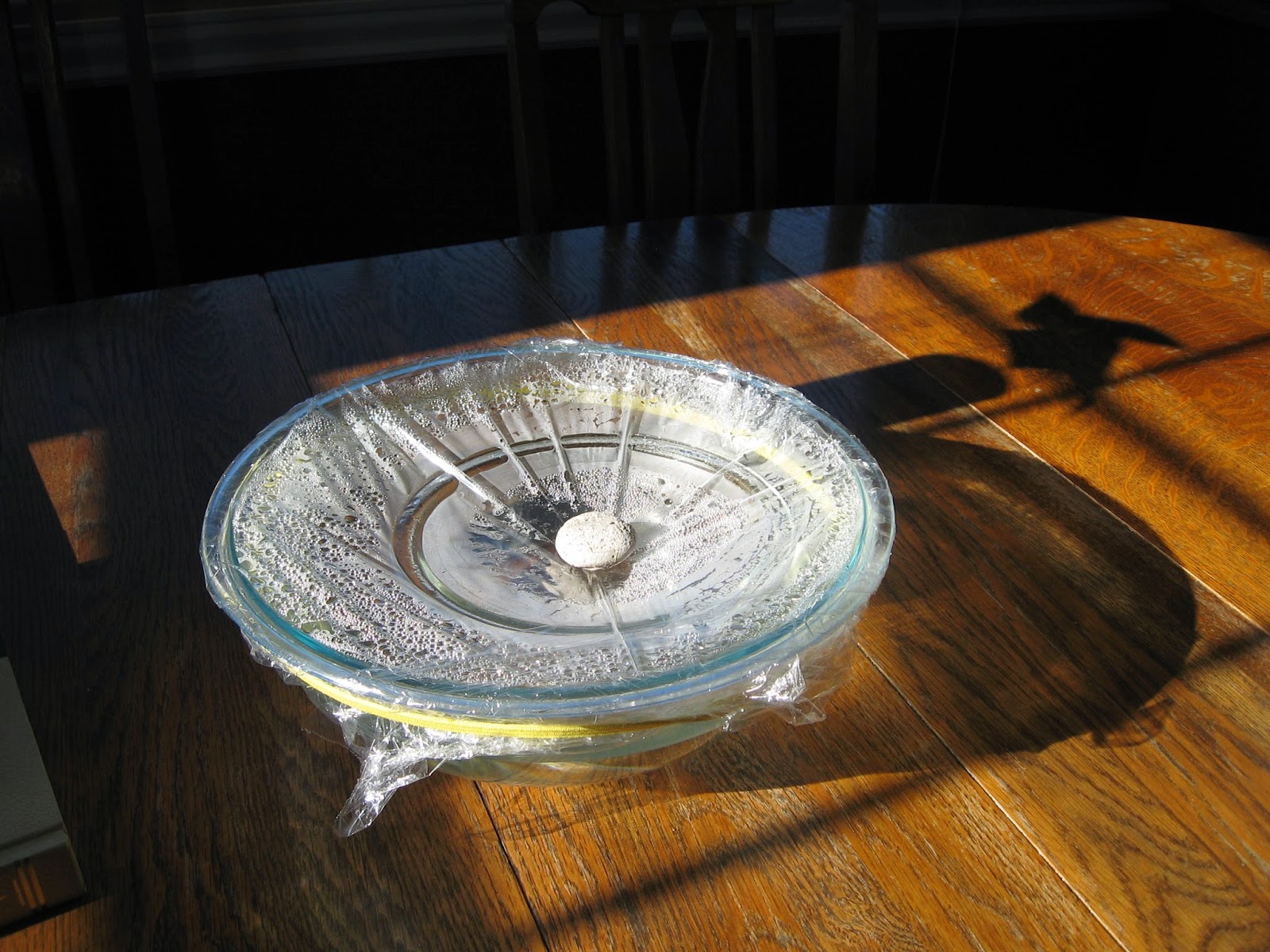 Almost Unschoolers Simple Solar Thermal Projects for Kids Solar