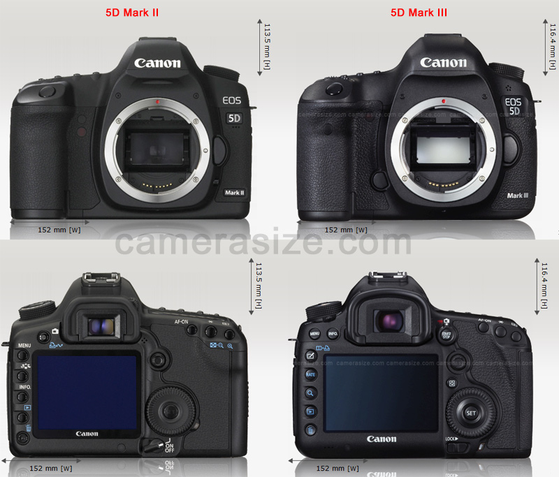 Сравнение canon 5d. Canon 5d Mark III. Canon 5d vs 5d Mark II. Nikon Mark 3. Canon 5d Mark III апгрейд.
