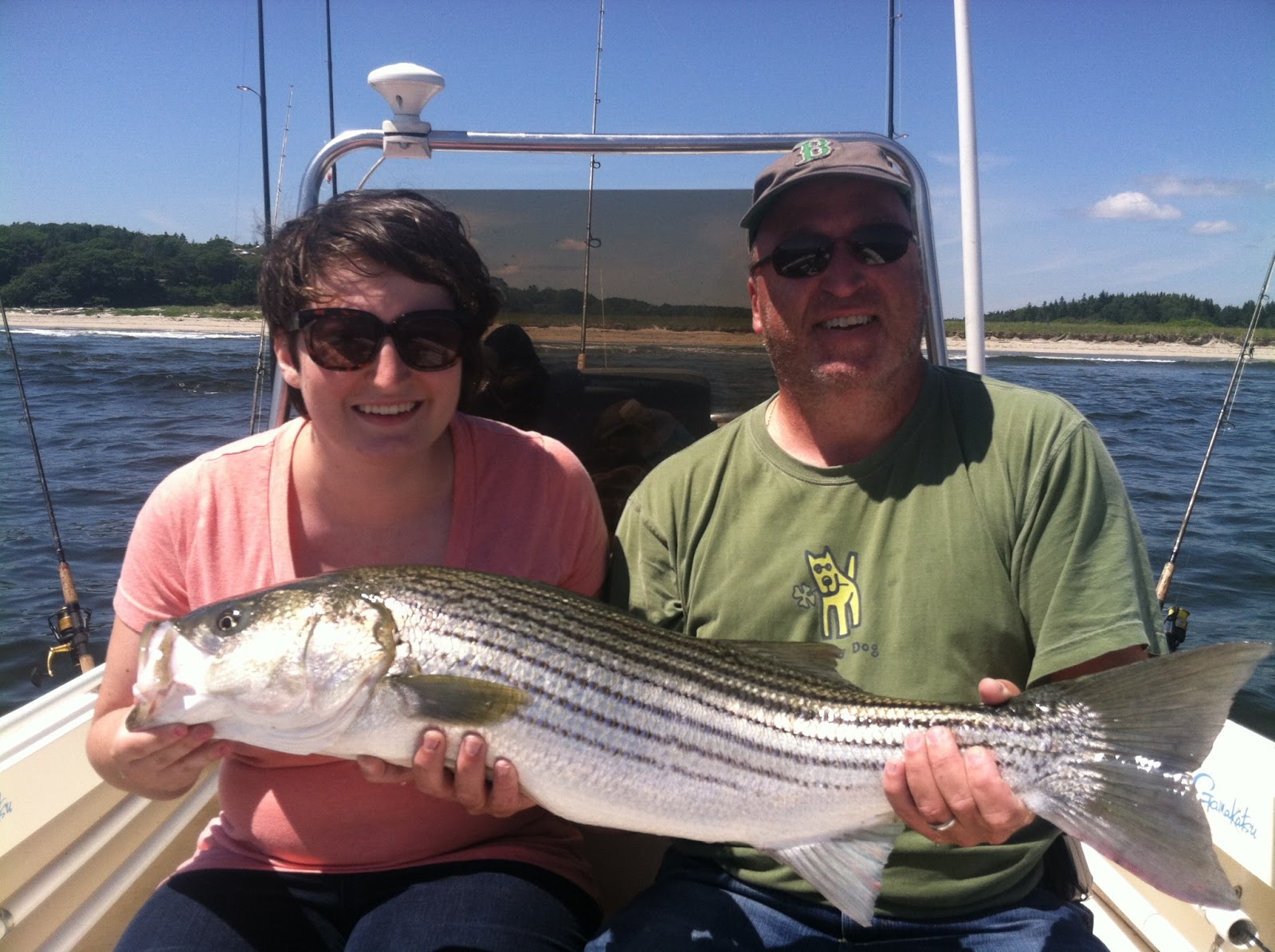 Maine Striper Fishing Charters & Reports Hotline 2076910745 Maine