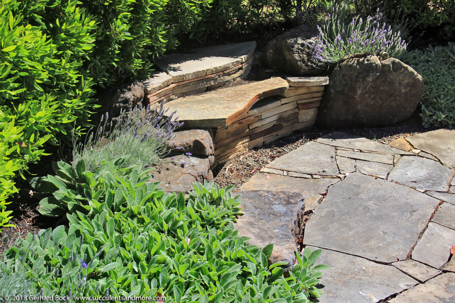 Labyrinth By The Bay December Colors