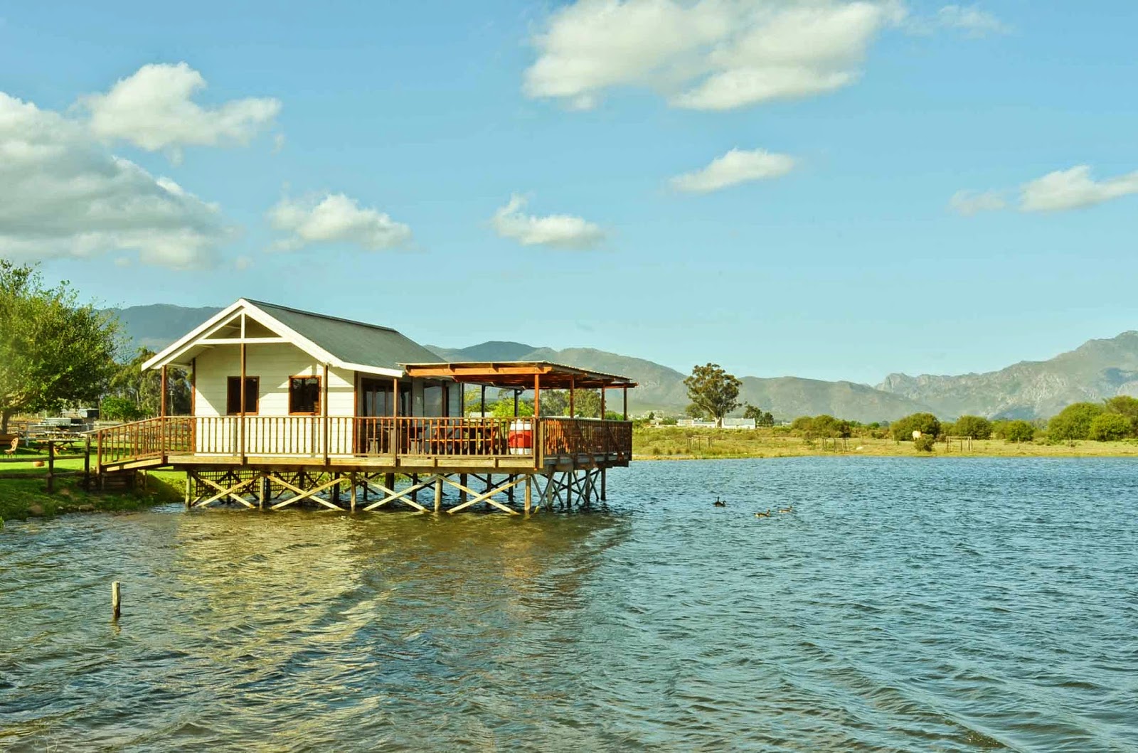 . Excelsior Wine Estate, Robertson