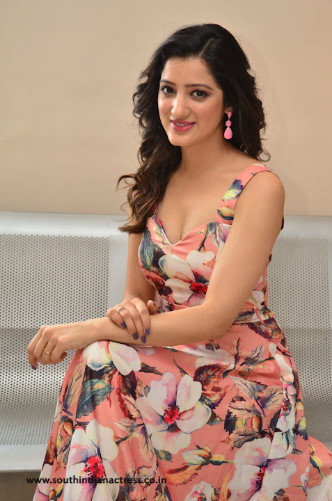 Richa Panai at Rakshaka Bhatudu Movie Pre Release