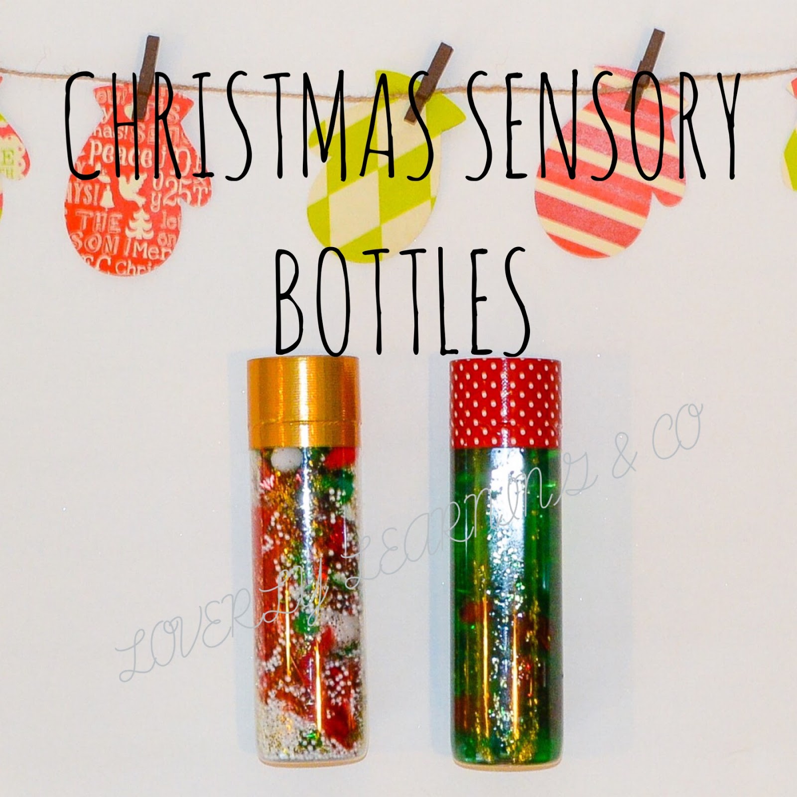 Loverly Learning Co. Christmas Sensory Bottles