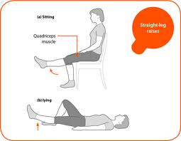 Isometric exercises for quads - toolbobosX