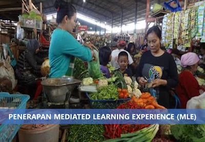 mediated learning experience