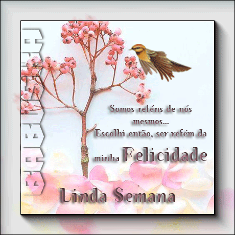 semana.gif
