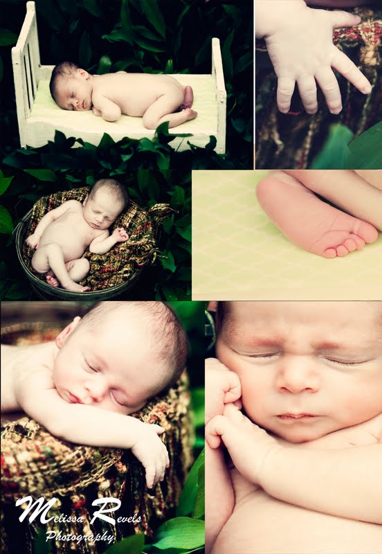 Melissa Revels Photography: Newborn baby Cooper!!