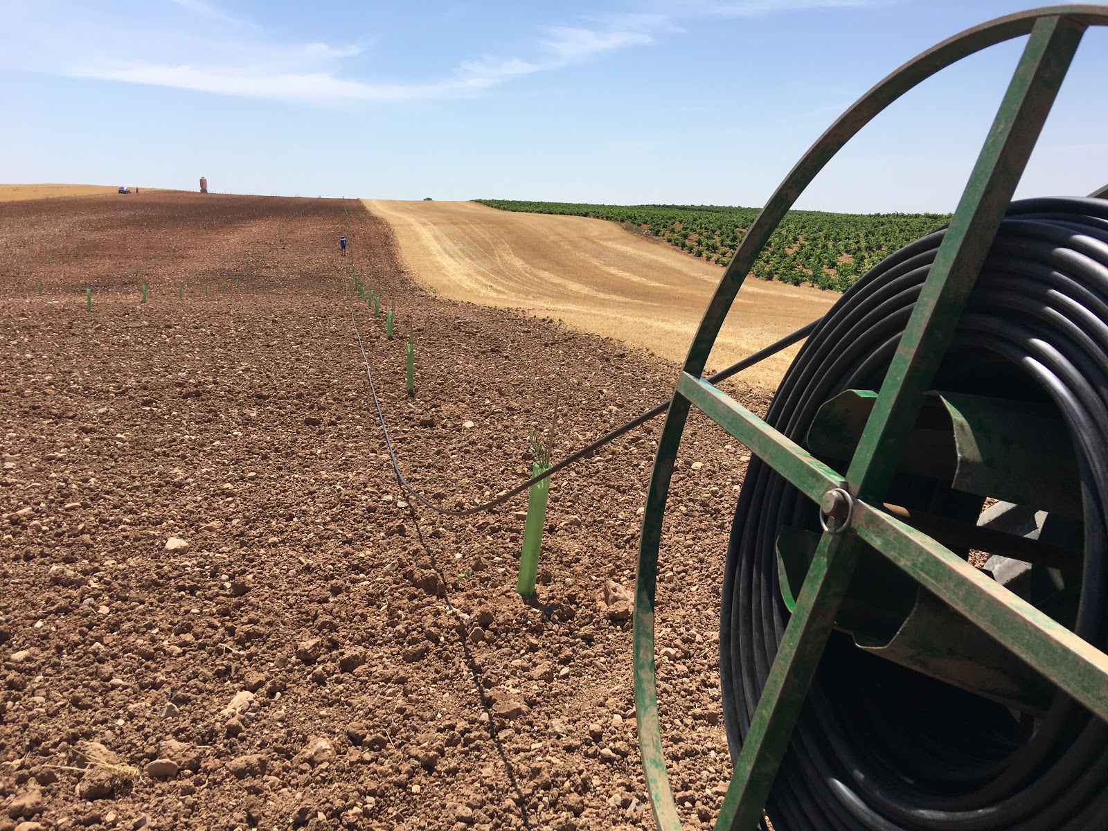 An original irrigation system for olive trees Earthenware jar
