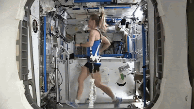 astronauta esteira -  Karen Nyberg
