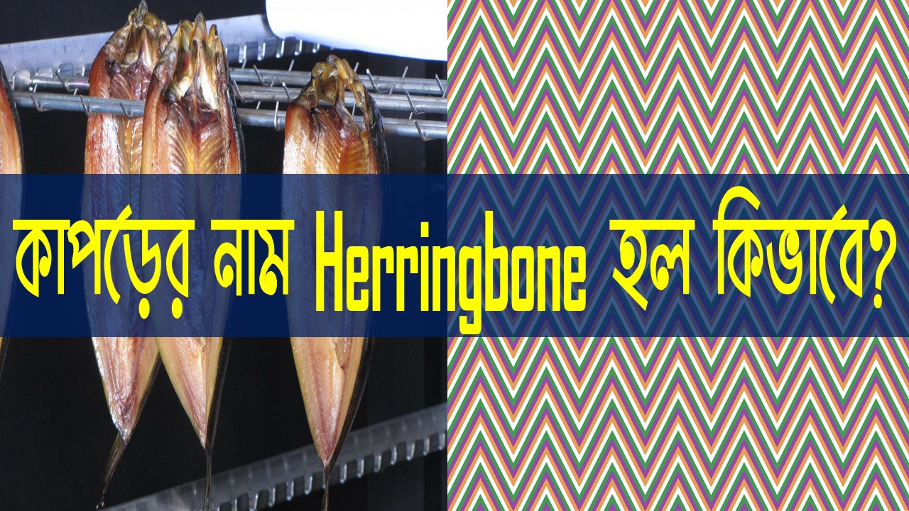 Herringbone ফেব্রিক এর নামকরণের মজার ইতিহাস। Textile and RMG Solution