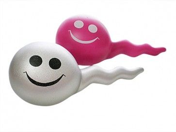 Sperm Stress Toy