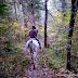 [White mountain_New Hampshire] 06_新英格蘭賞楓之旅(六) Horseback Riding