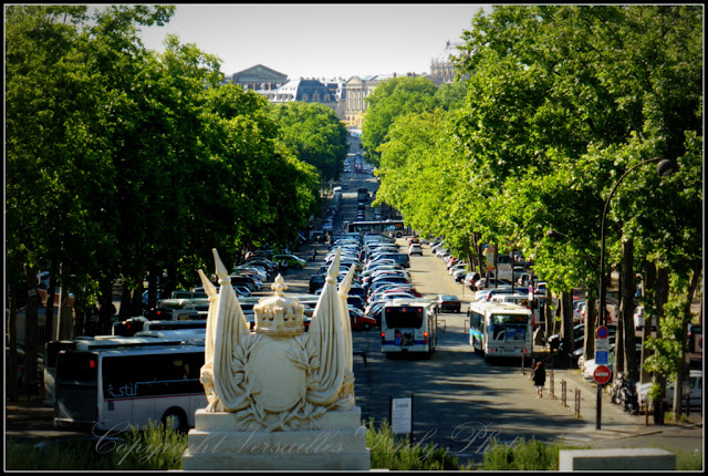 Avenue de Sceaux Versailles