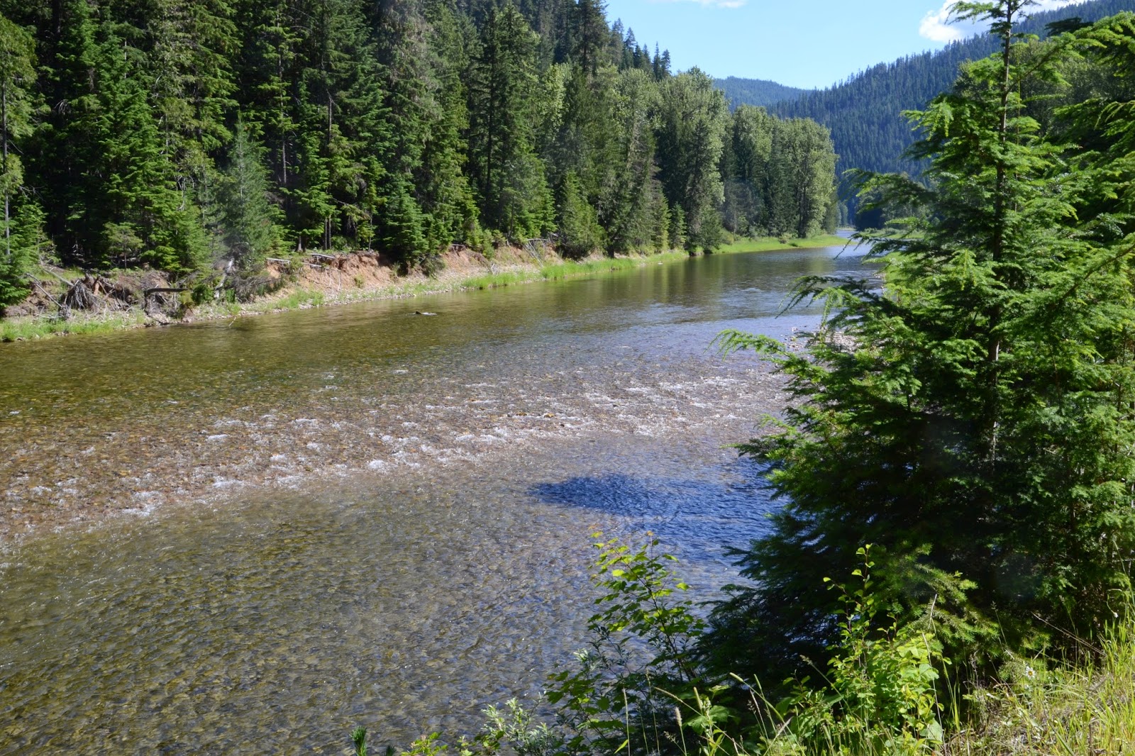 kellogg bloggin' North Fork of the Coeur d'Alene River 07/07/14