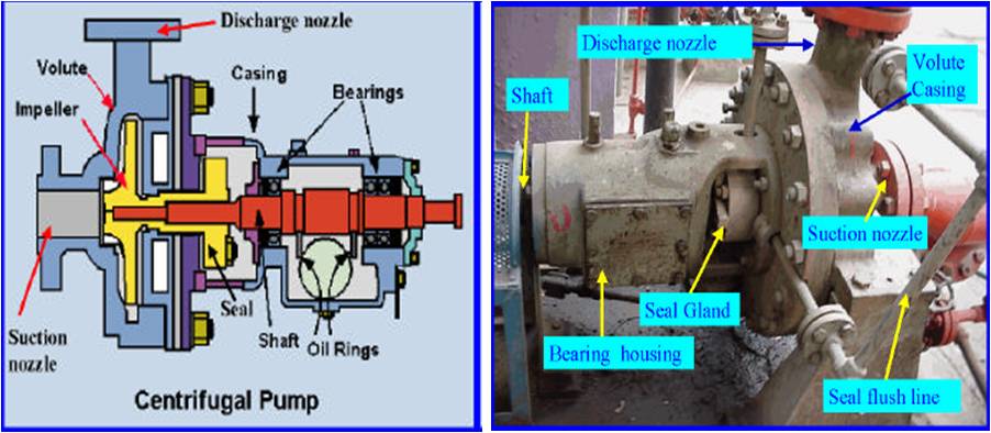 Jenis jenis pompa - dadbamboo