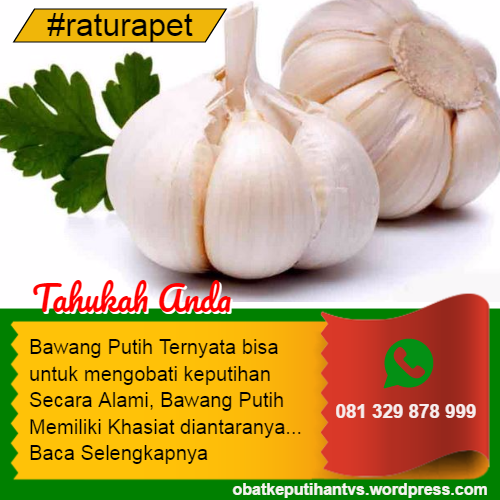 obat penyakit keputihan yang alami - obat herbal keputihan