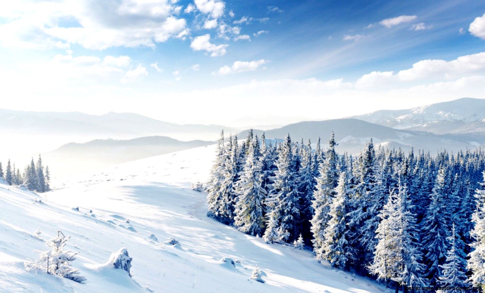 Winter Tree Wallpapers   Wallpaper Cave