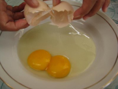 Jika Telur yang Memiliki Dua Kuning Telur Dierami, Apakah akan Menetas Jadi Dua Anak Ayam? 