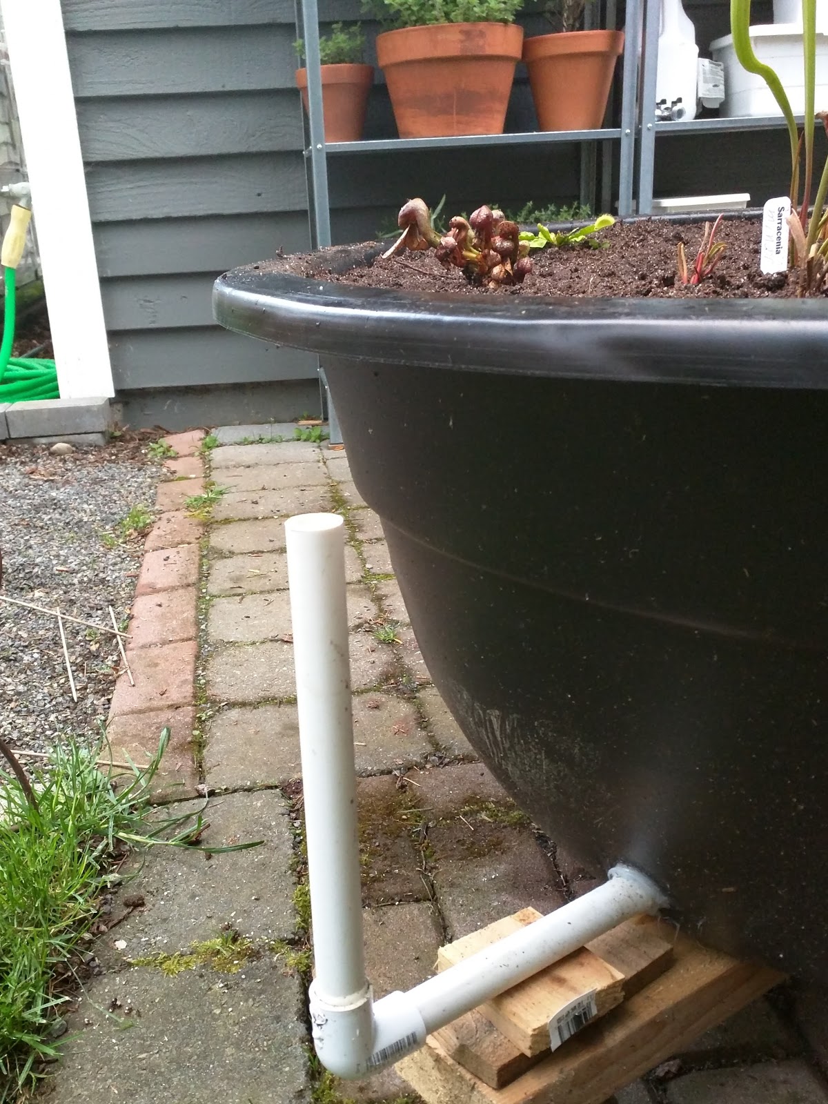 How To Make A Container Bog Garden