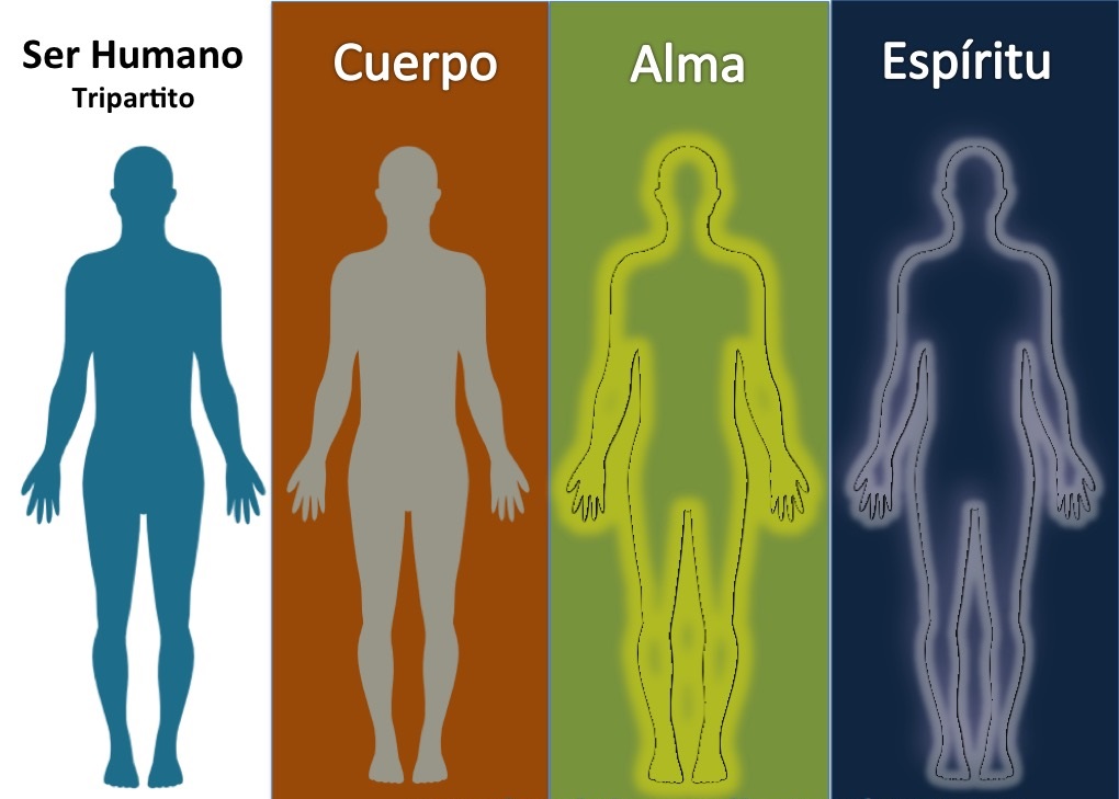 Cuál es el mejor magnesio para el cuerpo humano